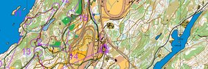 Omaps.worldofo.com map Saltenkarusell Bestemorenga