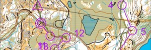 Omaps.worldofo.com map Nattløp Ospeneset