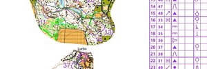 TG diamant #12