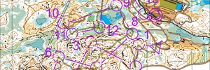 Veteranmesterskapet mellom