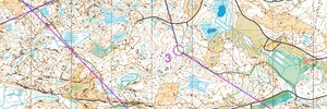 Finnish Long Champs Final