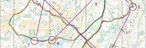 Treningsløp Plassen