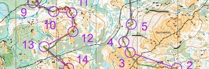 Omaps.worldofo.com map Natt Naurstadhøgda